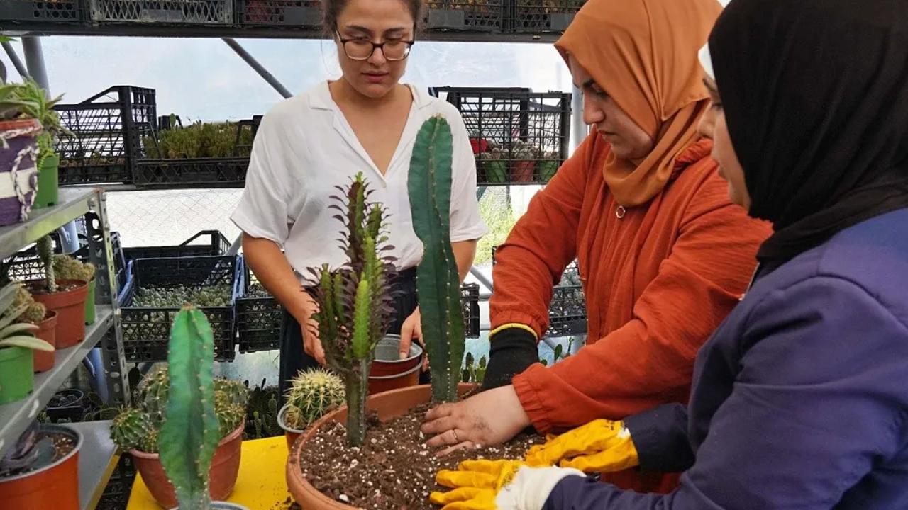 Hem tohumlar hem kadınlar güçleniyor